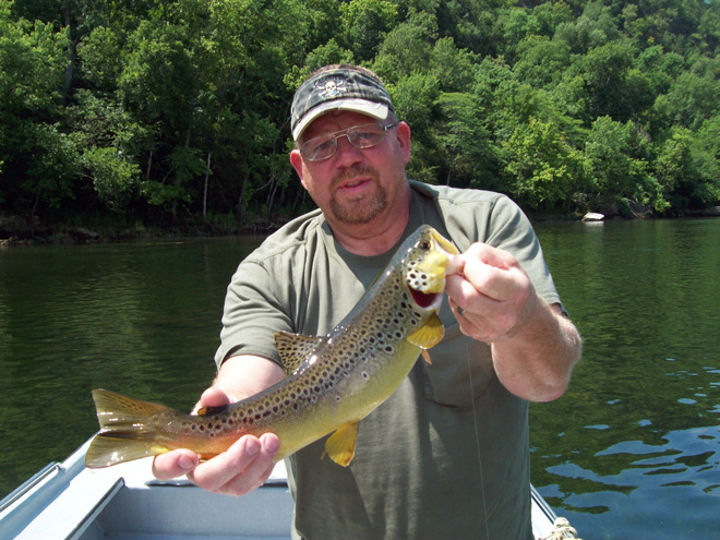 Trout Fishing Limits in and near White River Arkansas